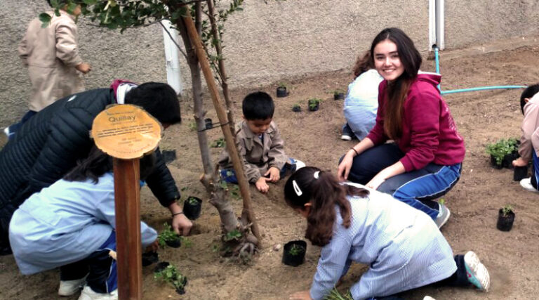 Reforestación!