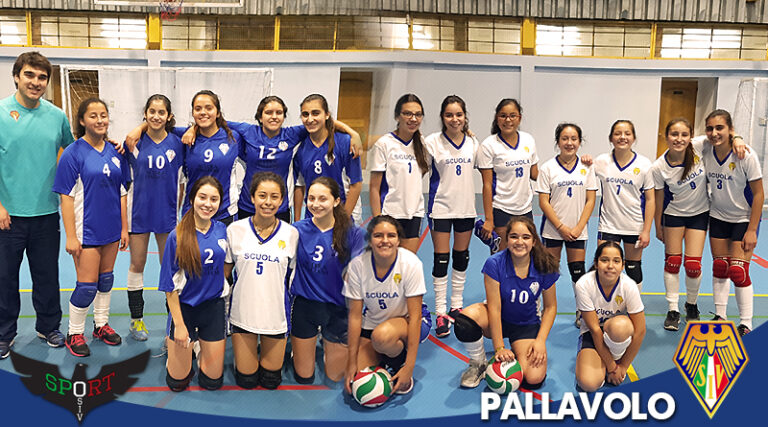 PallaVolo