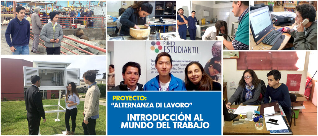 Proyecto Alternanza