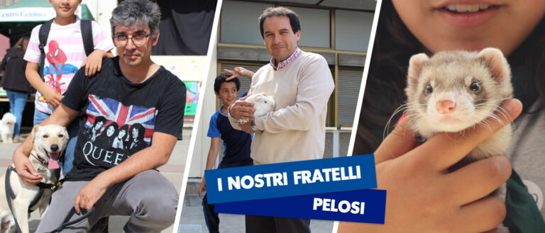 Fratelli Pelosi