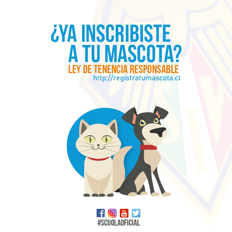 Ley Cholito: inscribe a tu mascota