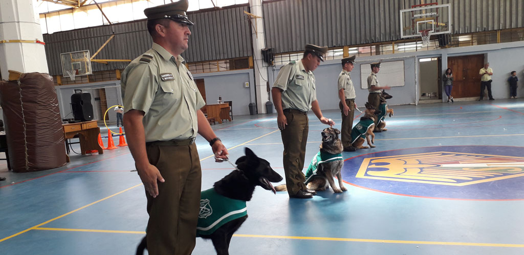 Escuadrón Canino de  Carabineros de Chile