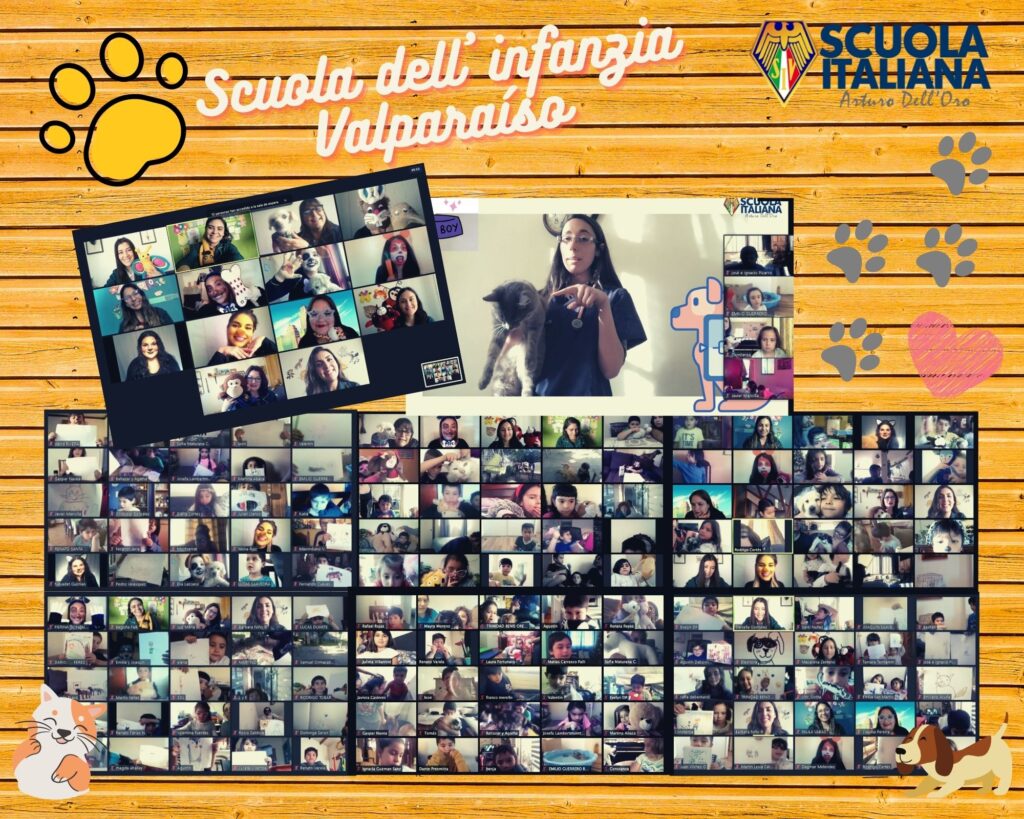 Unidad Gli animali
